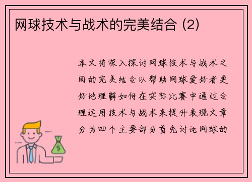 网球技术与战术的完美结合 (2)